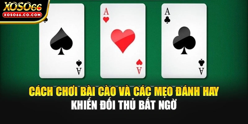 Cách Chơi Bài Cào Và Các Mẹo Đánh Hay Khiến Đối Thủ Bất Ngờ