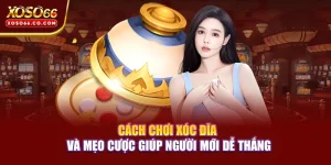 Cách Chơi Xóc Đĩa Và Mẹo Cược Giúp Người Mới Dễ Thắng